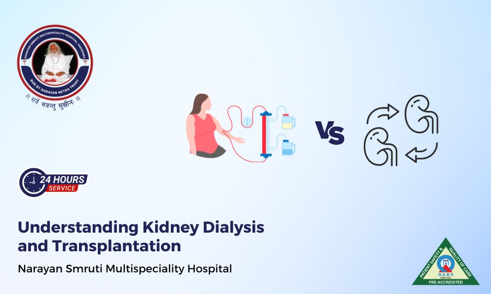 Understanding Kidney Dialysis and Transplantation